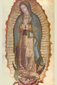 Guadalupe_3_cm.JPG